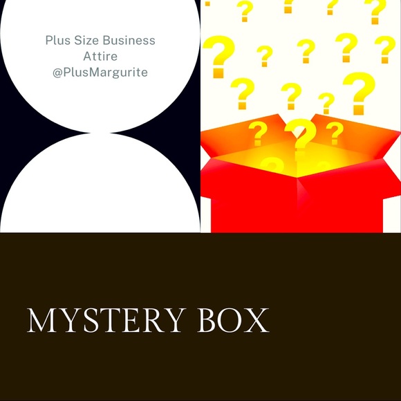 Tops - Only $15 - Plus Size Business Attire Mystery Box
